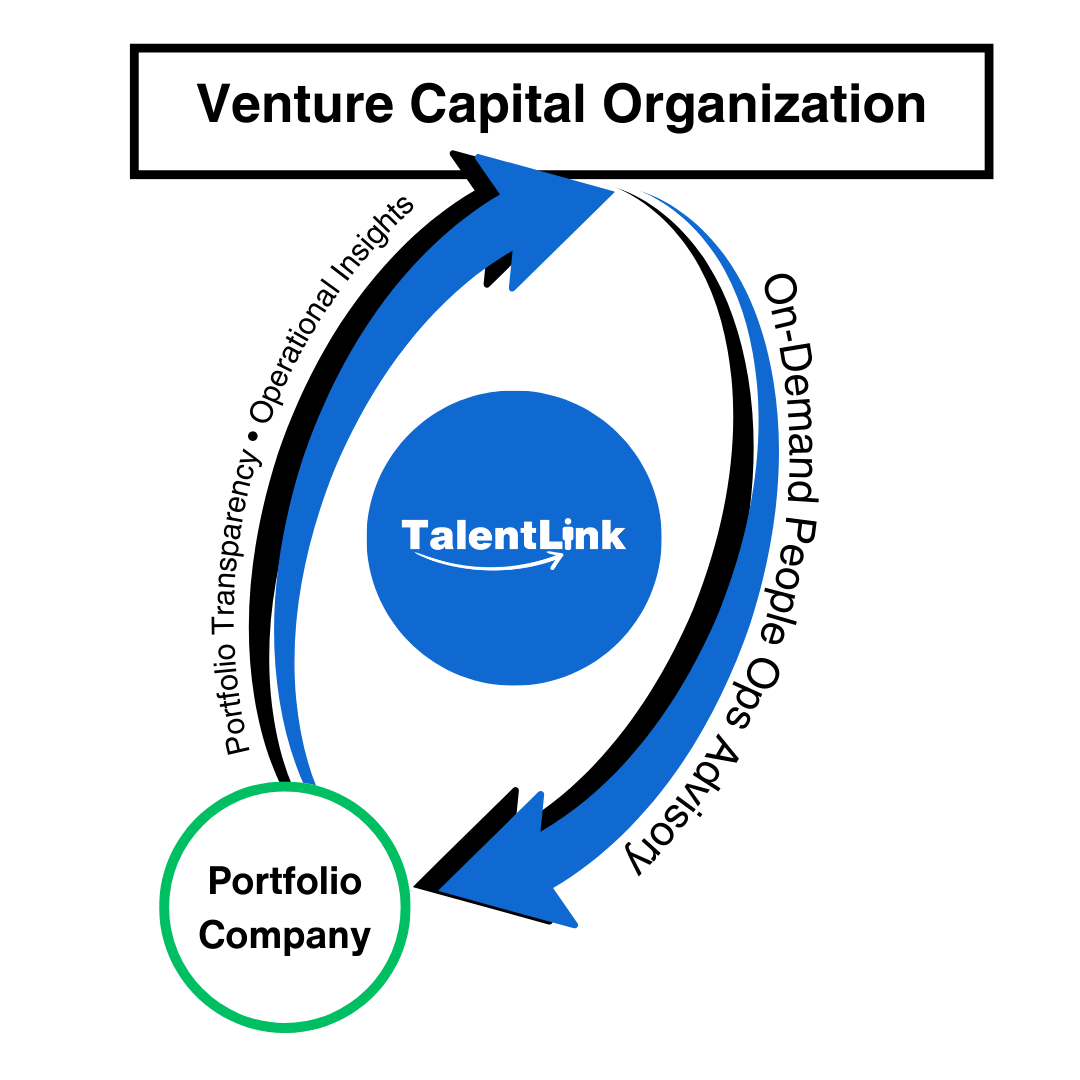 TalentLink - Venture Capital Portfolio Insights Cycle